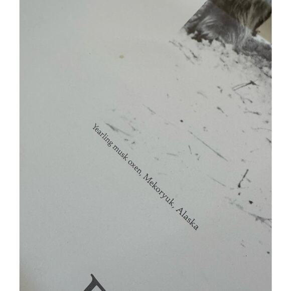 VTG Friends of the Musk Ox Alissa Crandall Poster Artist Signed 1988 Mekoryuk - Picture 8 of 9